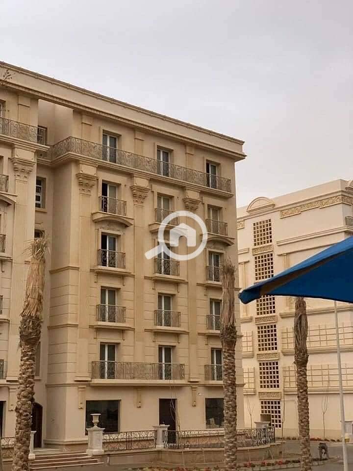 5 WhatsApp Image 2024-01-24 at 2.02. 57 PM (1). jpeg