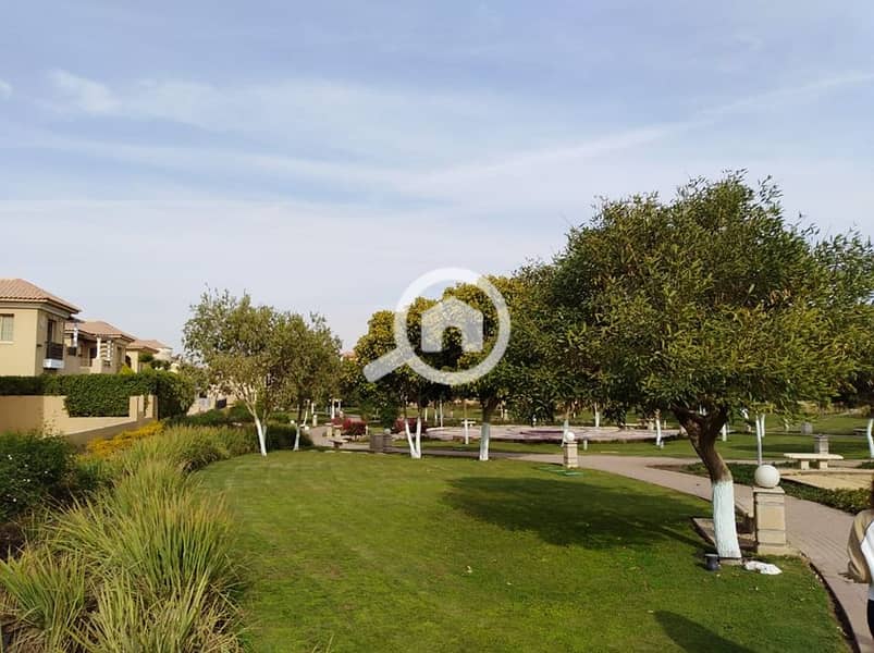 9 64562467_2422661591085815_8458514588516745216_n. jpg