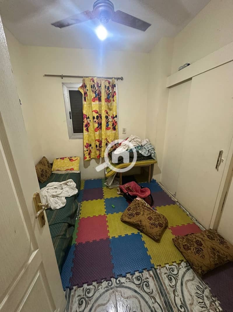 11 4360dc69-1e99-4b83-bd7a-d6e9f67efda2. jpeg