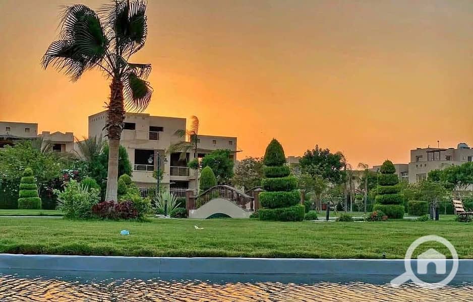 14 512688774_715264461302245_1235373408132951351_n. jpg