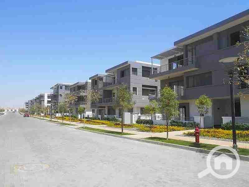 12 images - 2022-02-20T220438.380. jpg