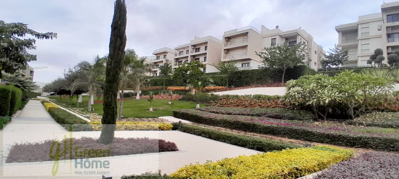 4 20251229_142409. jpg