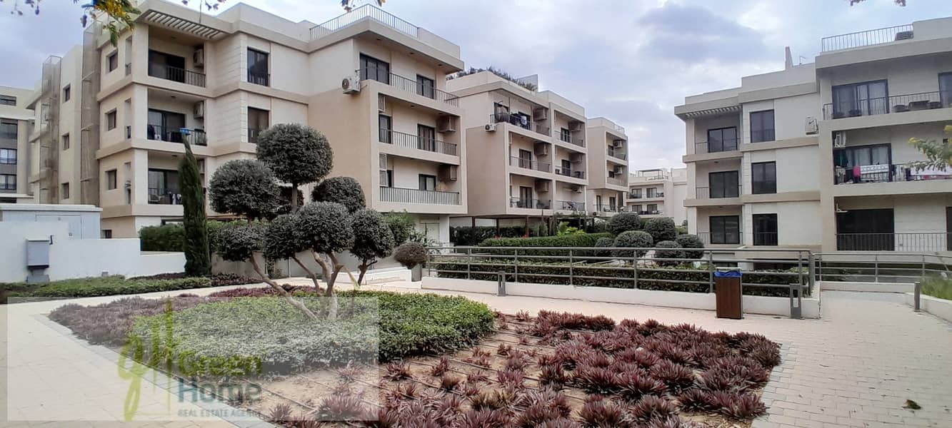 5 20251229_143309. jpg