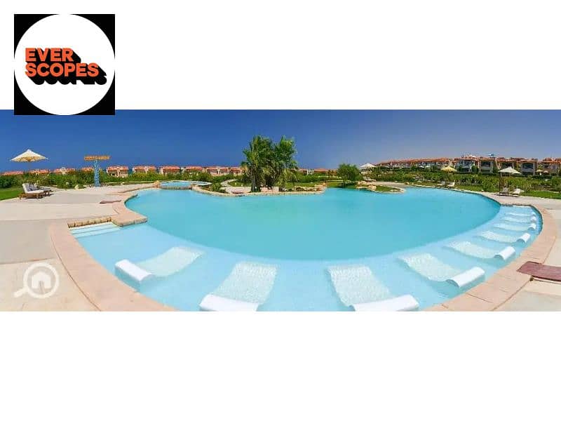 4 34219795-800x600. jpg