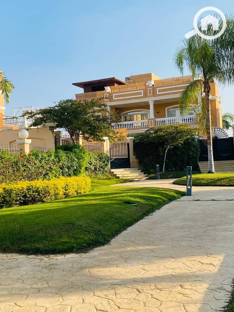 5 6019260742970228660_121. jpg