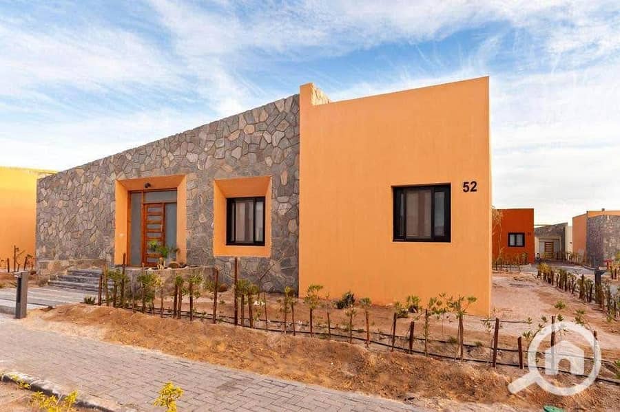 14 564598786_2390961648025313_107460530128011977_n. jpg