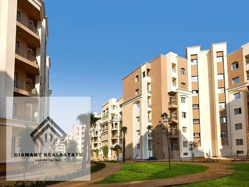 13 312963887_3521590378060538_4859505810147909793_n. jpg