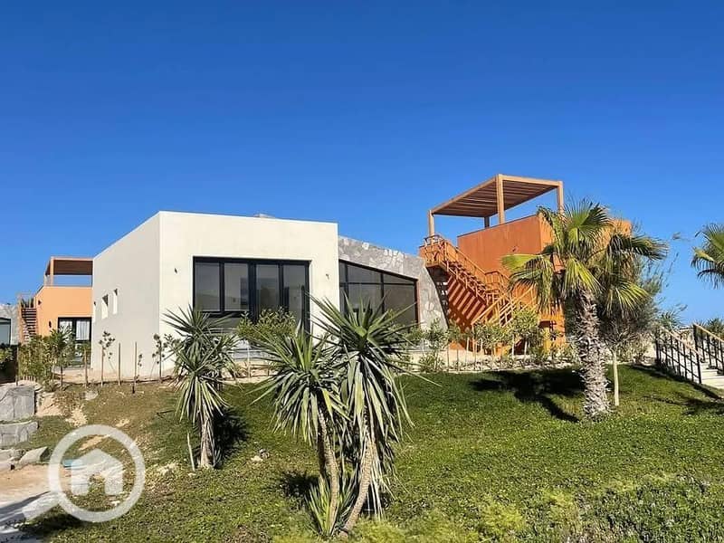 11 481884646_629272249853438_8448266147550554059_n. jpg