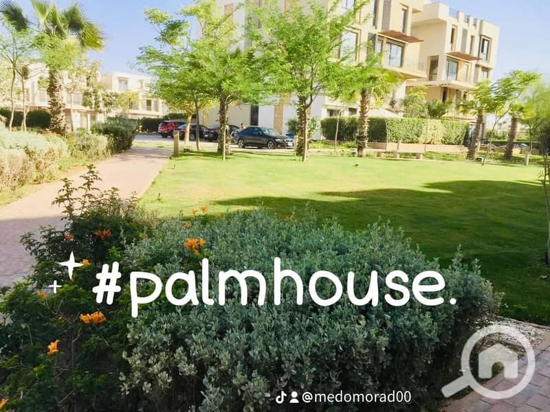 10 6d09bd15-4daf-413f-885c-f9d825ea6399. jpeg