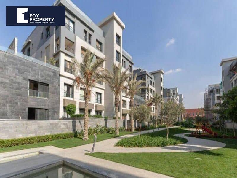 7 _files_WhatsApp Image 2025-02-10 at 20.44. 22_4d088707. jpg