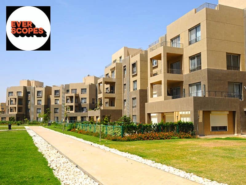 5 Screen-Shot-2017-06-14-at-6.04. 23-PM. png