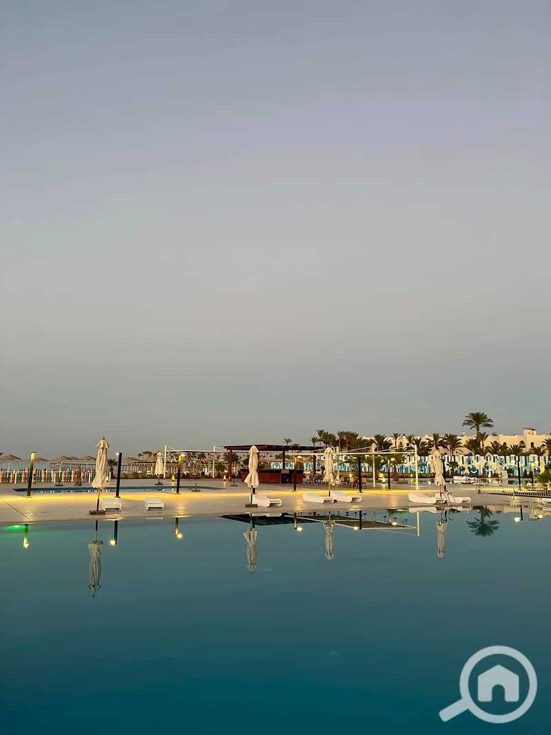 3 358489828_236444565952525_1867910759801728637_n. jpg