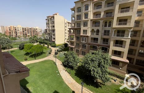 2 Bedroom Flat for Rent in Madinaty, Cairo - 481f9053-a2db-44ae-a00e-d1df595d35e8. jpg