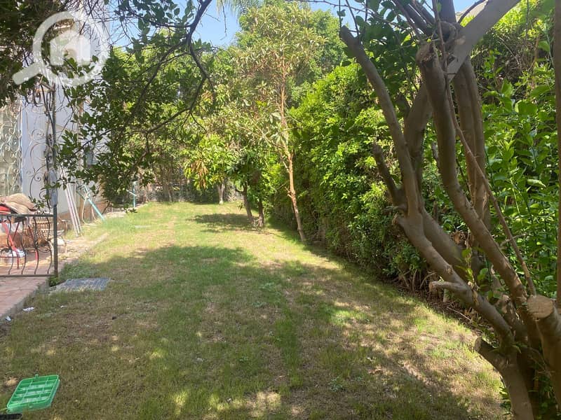 7 e88f0565-96fe-4a54-b04a-d33a3e4f26fd. jpg