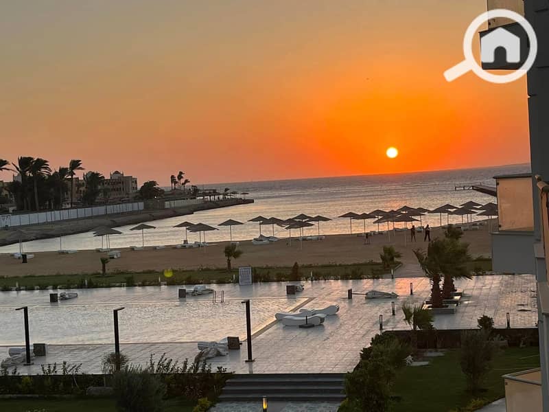 11 358489183_236444485952533_3276163529212859144_n. jpg