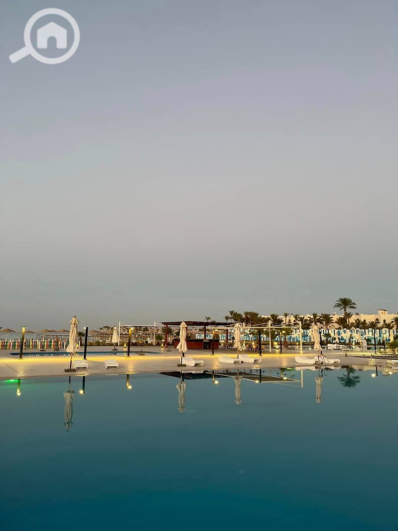 12 358489828_236444565952525_1867910759801728637_n. jpg