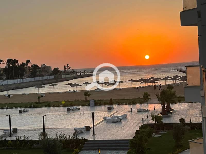 3 358489183_236444485952533_3276163529212859144_n. jpg