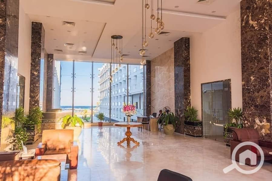 8 358542633_236444005952581_6957586382936678823_n. jpg