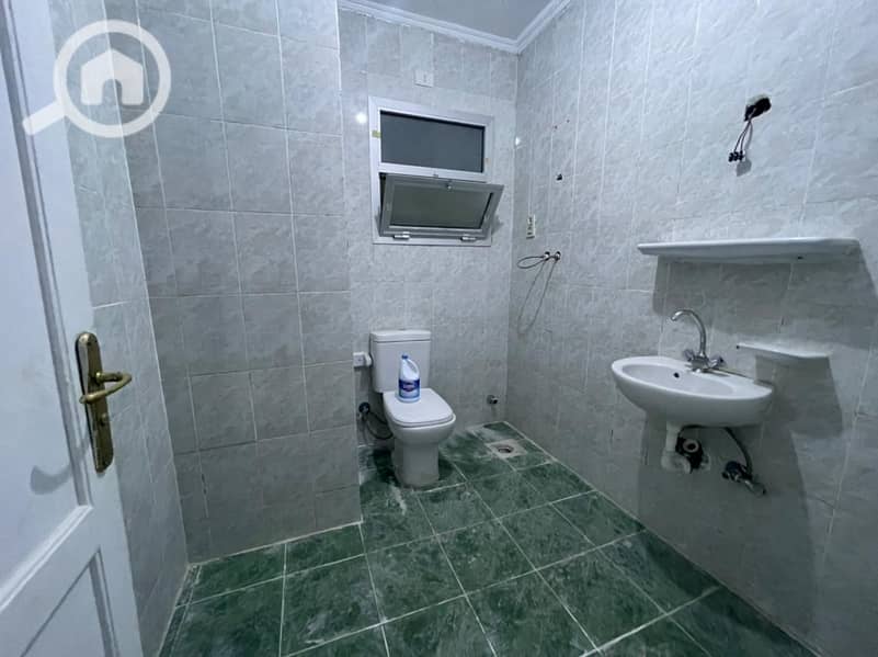 5 7317fdcd-dace-4771-b108-61cc0294e980. jpg