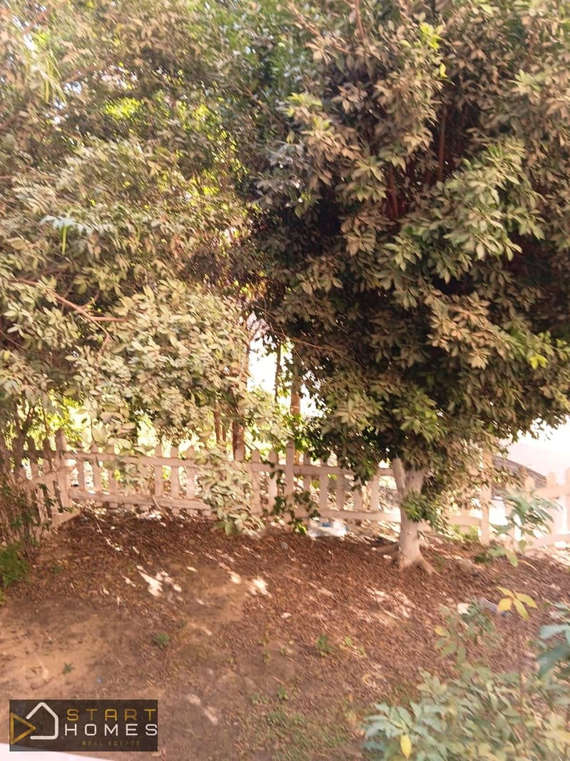 5 WhatsApp Image 2026-01-20 at 1.30. 48 AM (2). jpeg