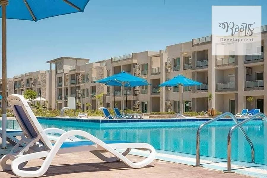 4 WhatsApp Image 2026-01-03 at 14.22. 18 (1). jpeg