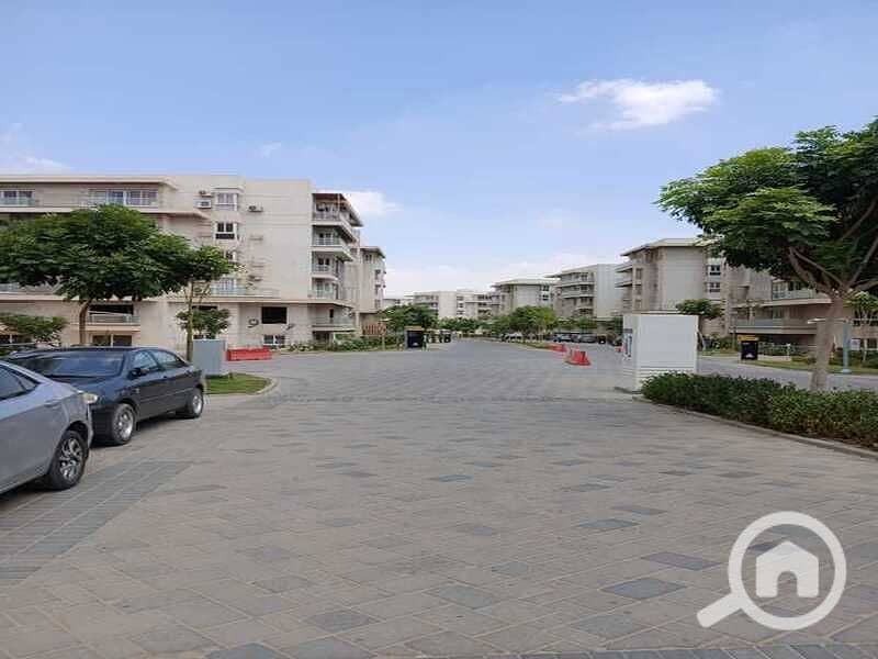 9 0f433b3e-655f-46b8-932e-fc9d65e391b0. jpg