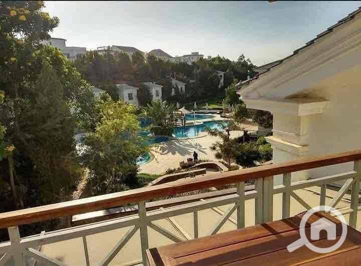 3 7c95b255-3ead-4dde-990f-7c4989bec741. jpg