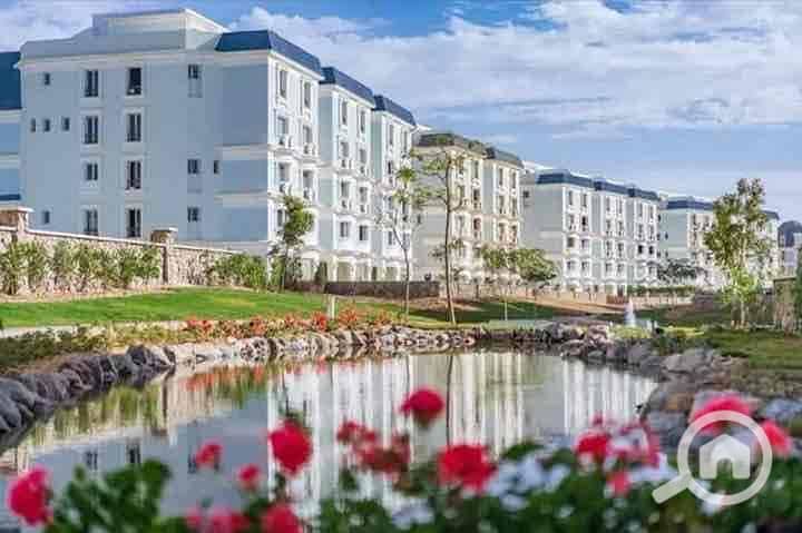 8 5895aef1-b940-4d93-96b2-925242cd1e81. jpg