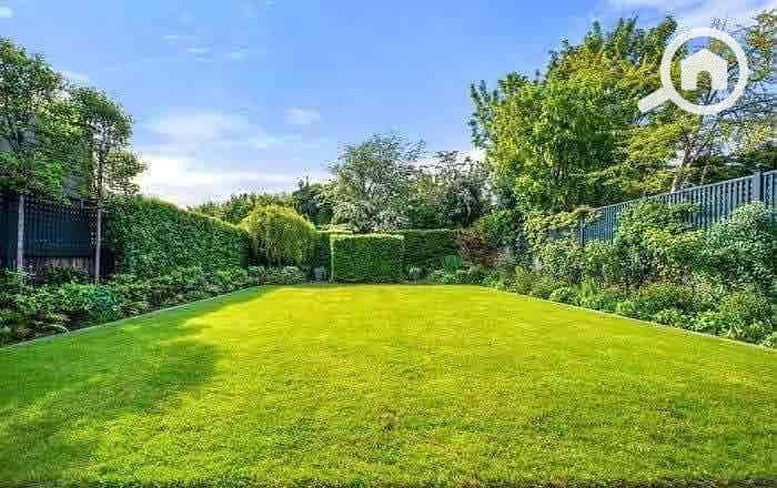 2 2cd1b8fb-e786-4030-bedb-5b7b0f867e2c. jpg