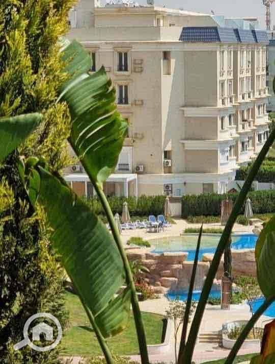 3 1def9e36-5f32-4b50-b2d8-4e1e02b090a2. jpg