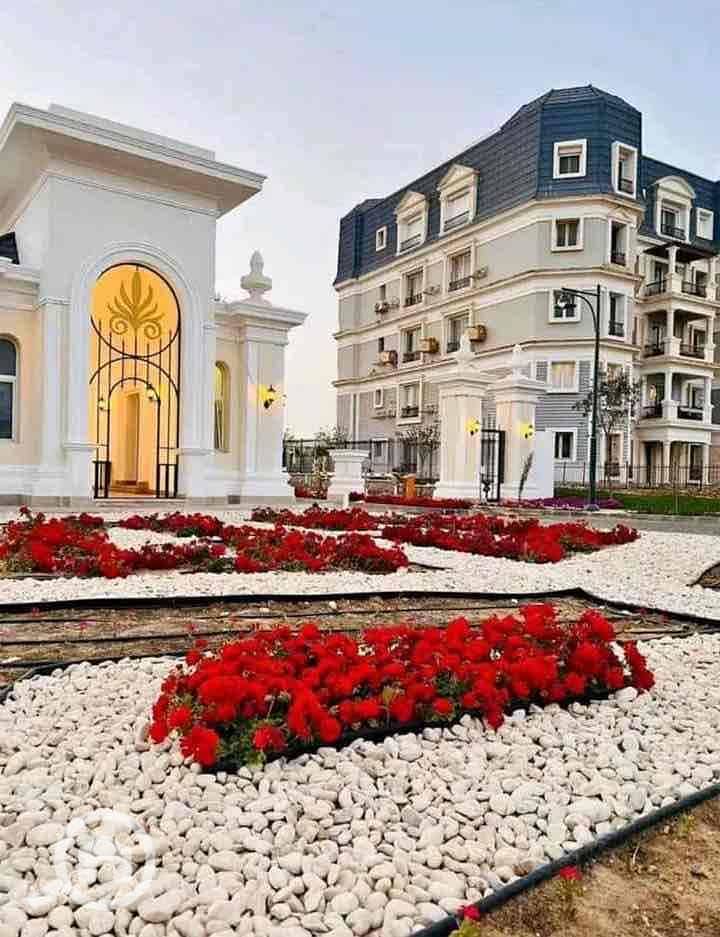 5 20bcc67a-fccf-49d8-b9d9-bbc31de25997. jpg