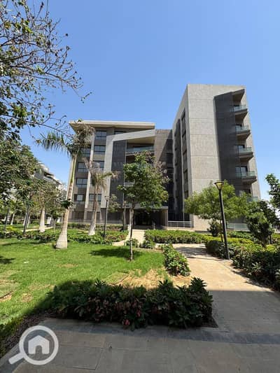 3 Bedroom Apartment for Rent in Madinaty, Cairo - 535036773_1481344119609565_7061637312105787436_n. jpg