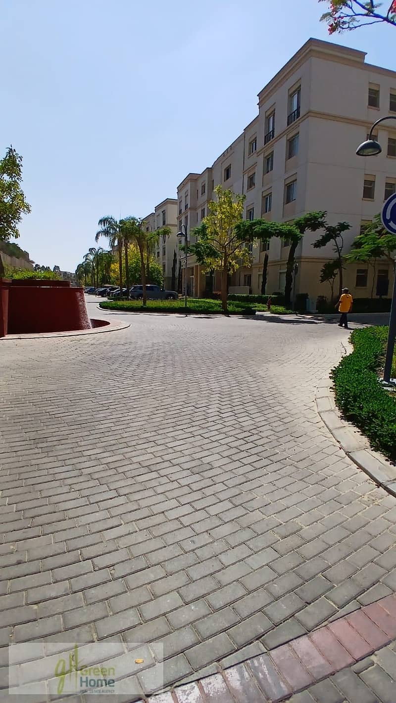 4 35c9e72a-433a-463c-84fe-b0203ff406af. jpg