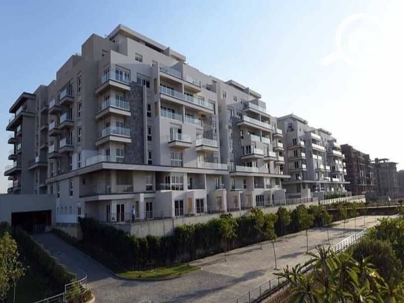 3 13f49110-22b9-433c-bb6a-2370301c963f. jpg