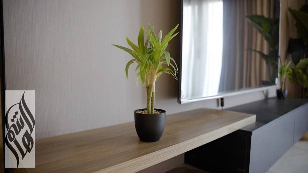 10 WhatsApp Image 2026-01-19 at 8.02. 17 PM (1). jpeg