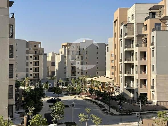 9 600888948_122256931976078436_2227232872400056355_n. jpg