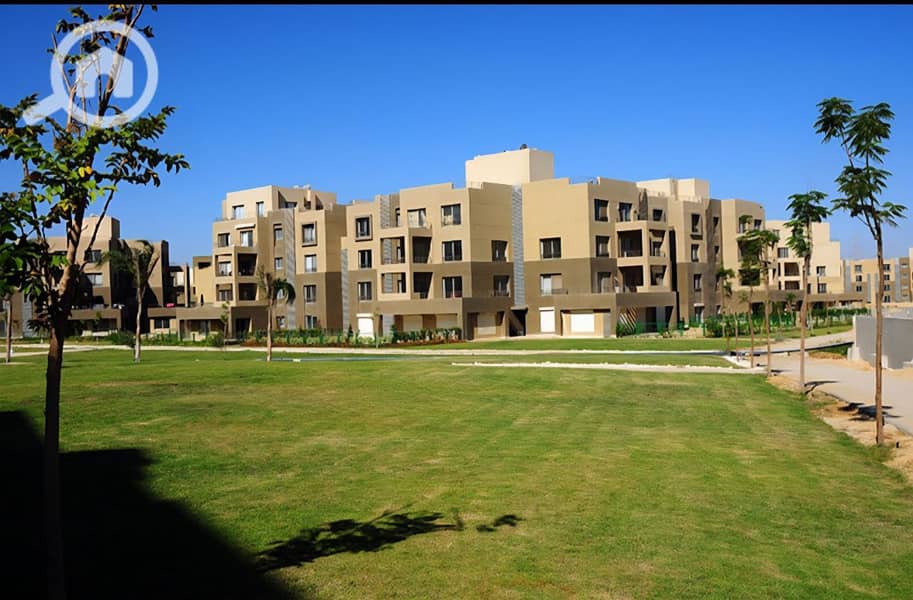 15 photo_20_2025-12-23_00-14-59. jpg