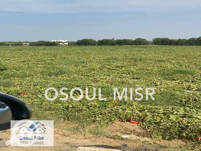 زراعي  للبيع في الشيخ زايد، الجيزة - WhatsApp Image 2023-06-11 at 10.55. 24 AM (3). jpeg