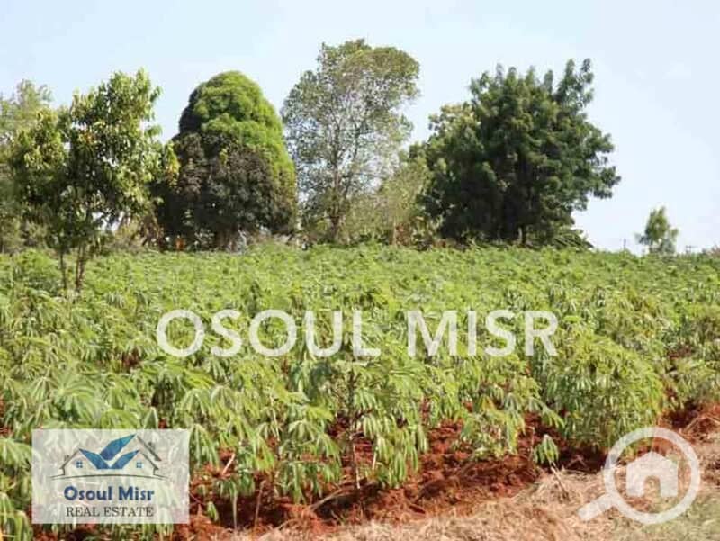 2 WhatsApp Image 2023-06-11 at 11.15. 47 AM (4). jpeg