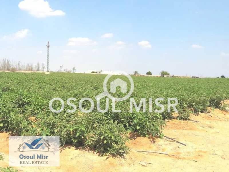 3 WhatsApp Image 2023-06-11 at 11.15. 47 AM (5) - Copy. jpeg