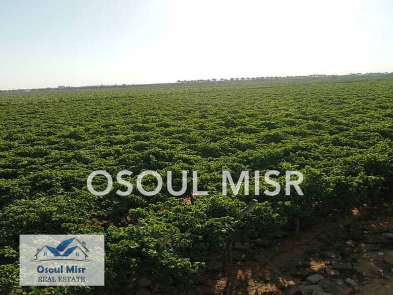 4 WhatsApp Image 2023-06-11 at 10.55. 24 AM (6). jpeg