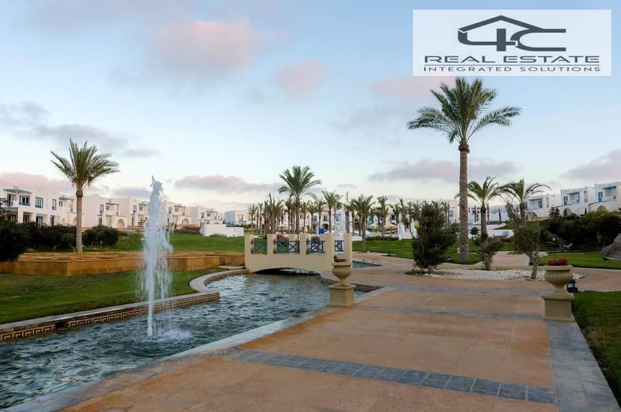 3 f3edad26-0a34-4688-8fbd-61dc65c5518e. jpg