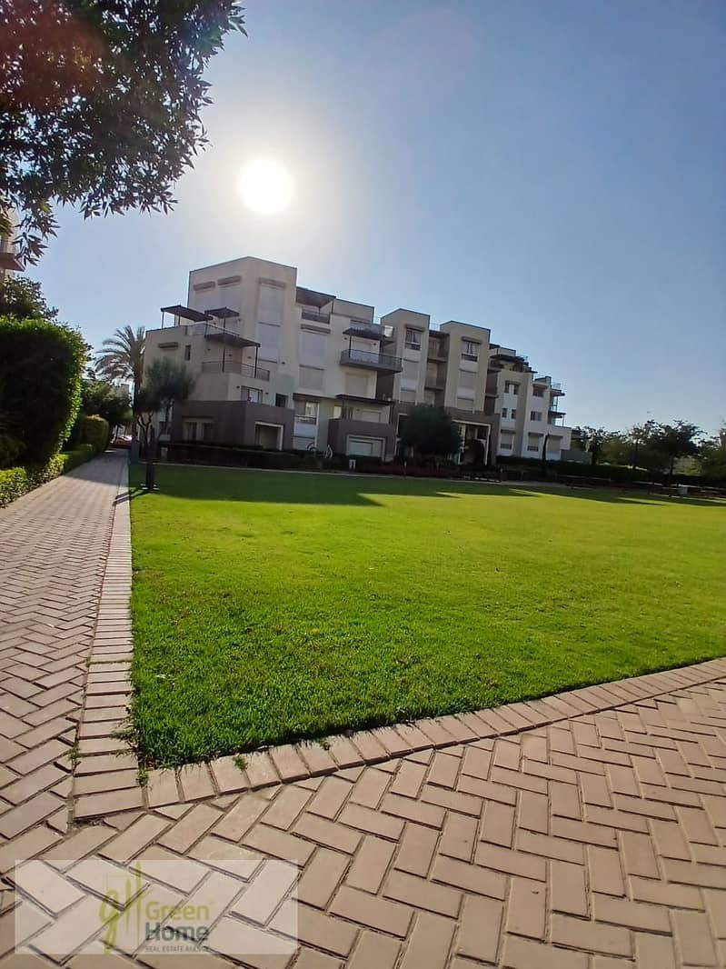 8 12b643c4-0b30-4f44-9adc-fceae41e69b9. jpg