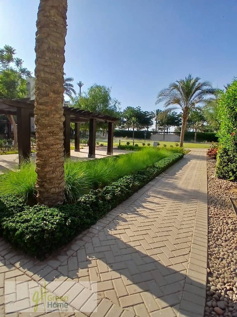 11 37bb67c7-f1bc-455f-86ff-afa030d32491. jpg