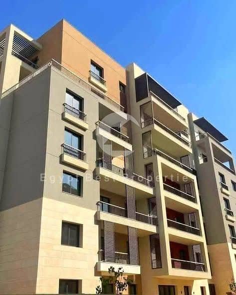 10 615462875_122111580489139644_940722552448188205_n. jpg