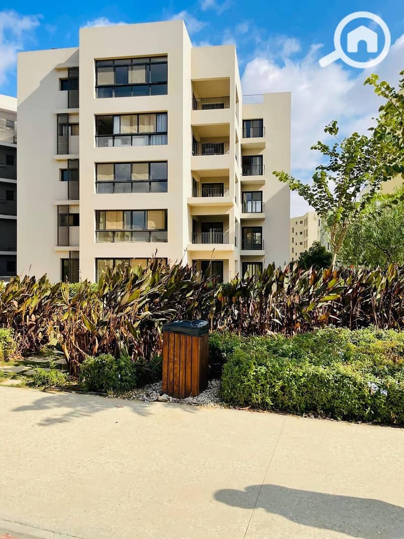 5 WhatsApp Image 2025-05-14 at 17.07. 27_2e267b16. jpg