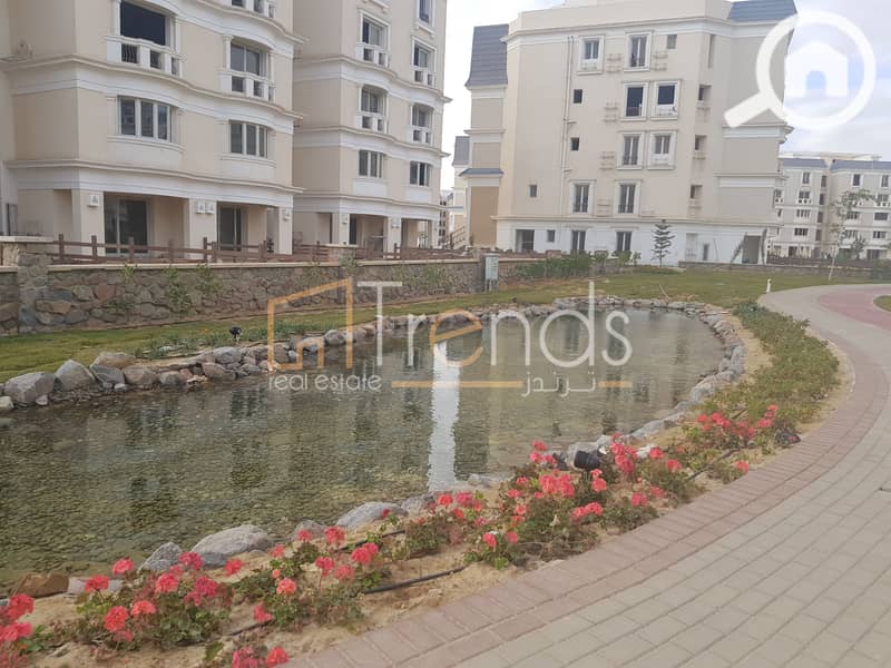 2 20181211_145616. jpg