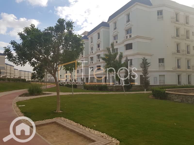 5 20181211_144933. jpg