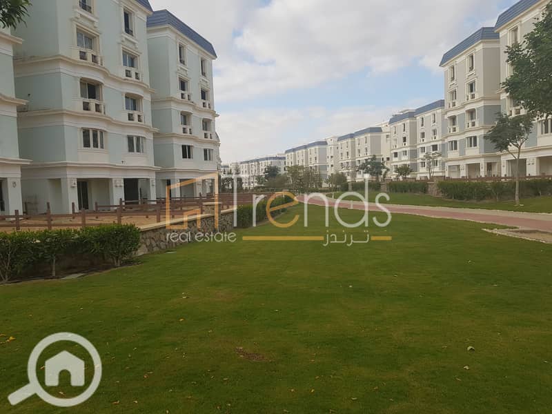 7 20181211_145010. jpg