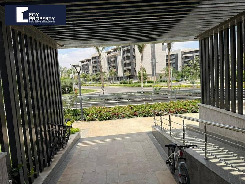 4 _files_WhatsApp Image 2025-08-17 at 20.12. 41_e55bb450. jpg